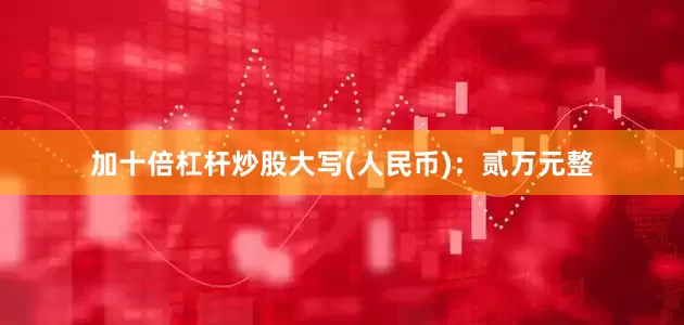 加十倍杠杆炒股大写(人民币)：贰万元整
