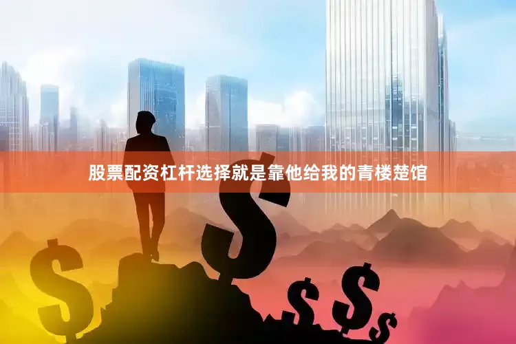 股票配资杠杆选择就是靠他给我的青楼楚馆
