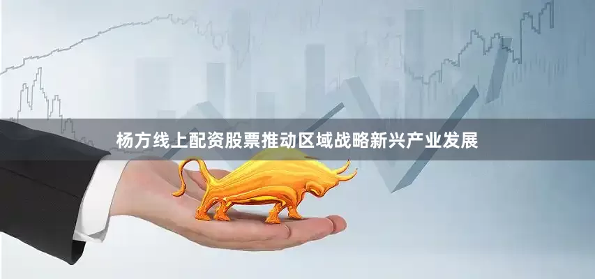 杨方线上配资股票推动区域战略新兴产业发展