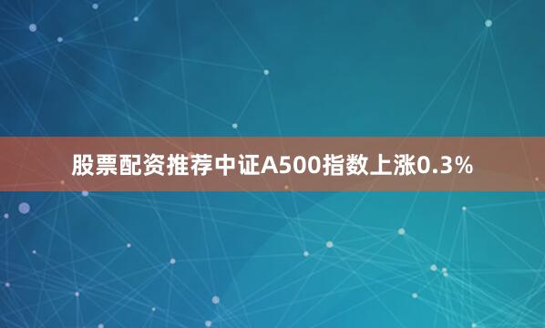 股票配资推荐中证A500指数上涨0.3%