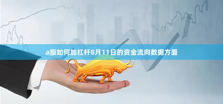a股如何加杠杆8月11日的资金流向数据方面