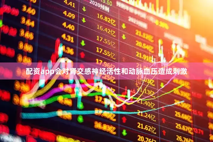 配资app会对肾交感神经活性和动脉血压造成刺激